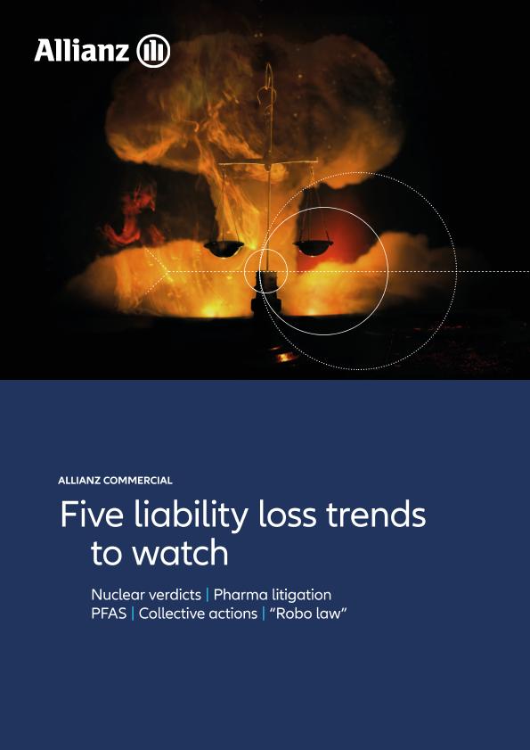 Acceo al documento/Access the document