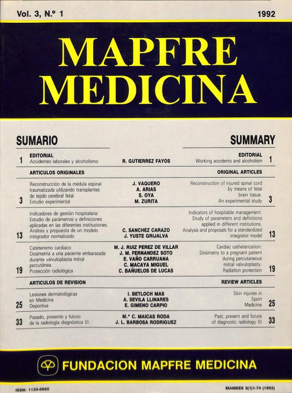 Acceso al documento / Access the document