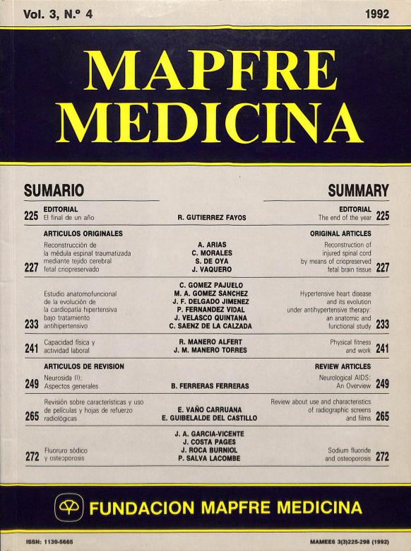 Acceso al documento / Access the document