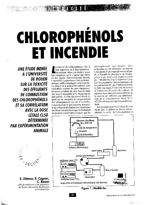 Fichero PDF / PDF file