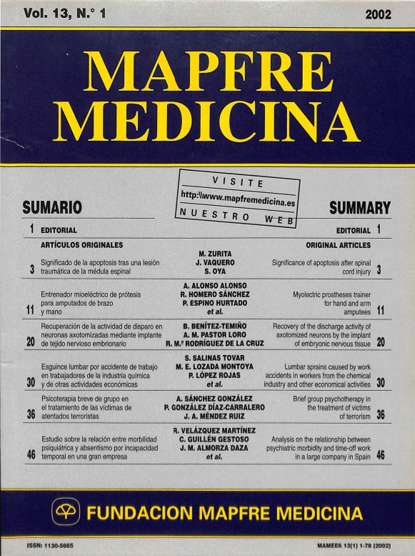 Acceso al documento/Access the document