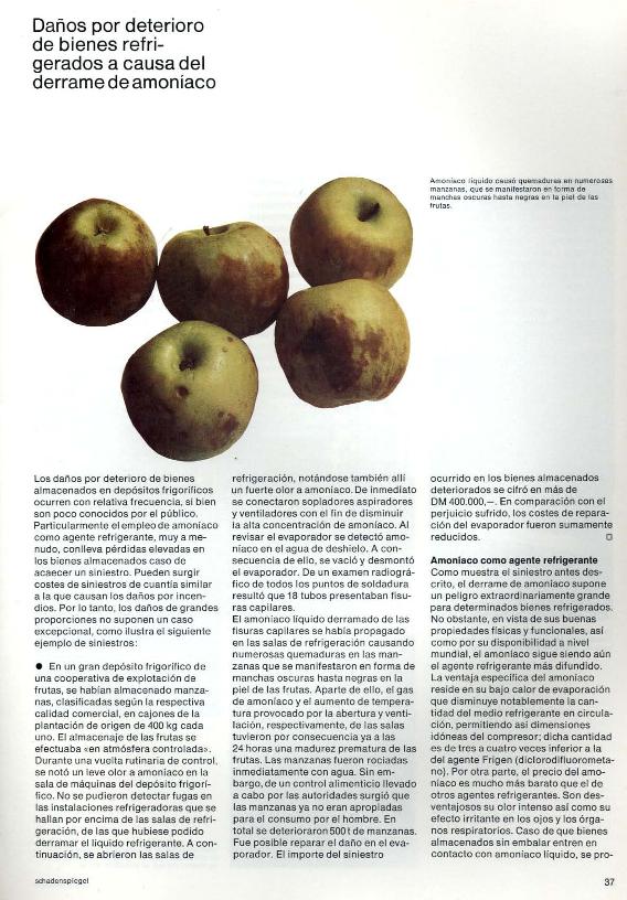 Recurso electrónico / electronic resource