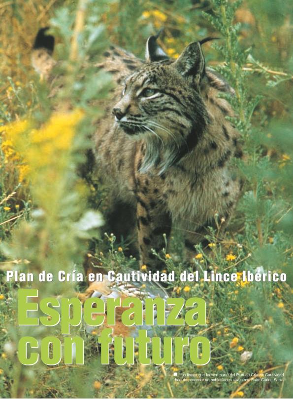 Recurso electrónico / electronic resource