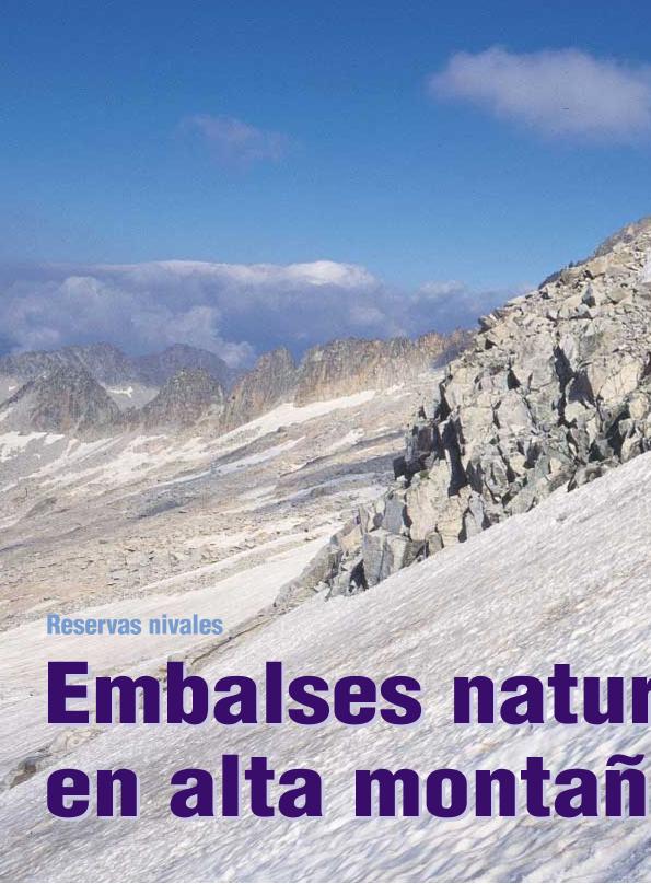 Recurso electrónico / electronic resource