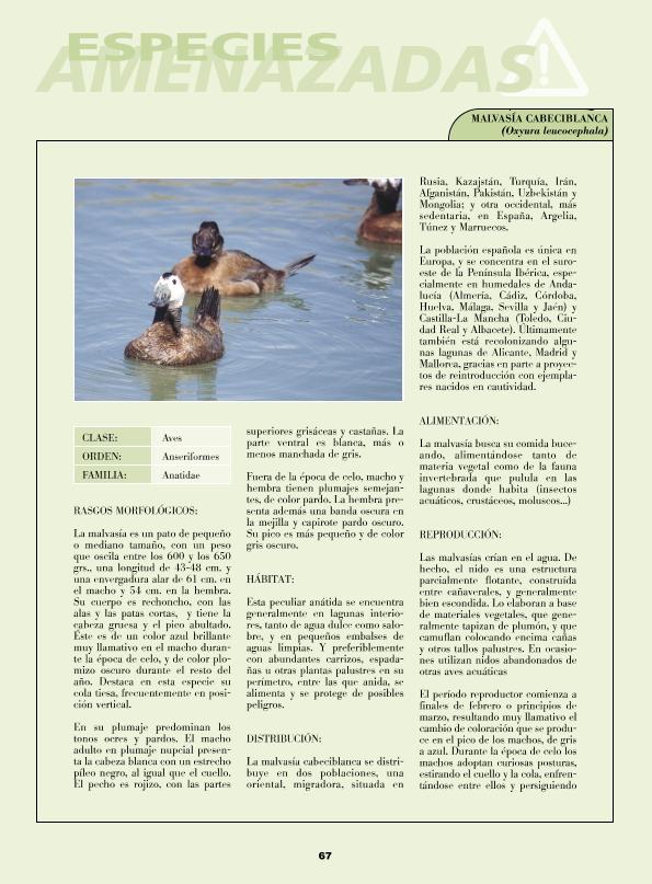 Recurso electrónico / electronic resource