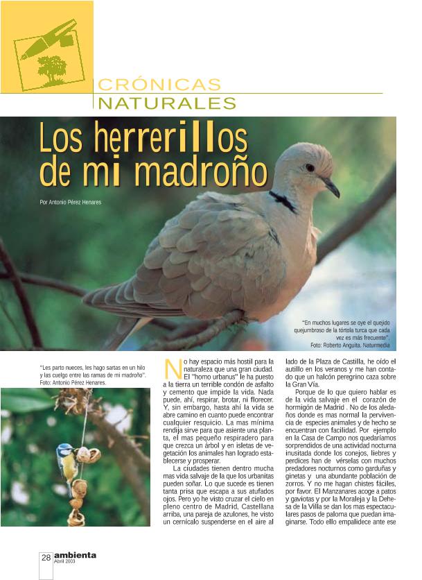 Recurso electrónico / electronic resource