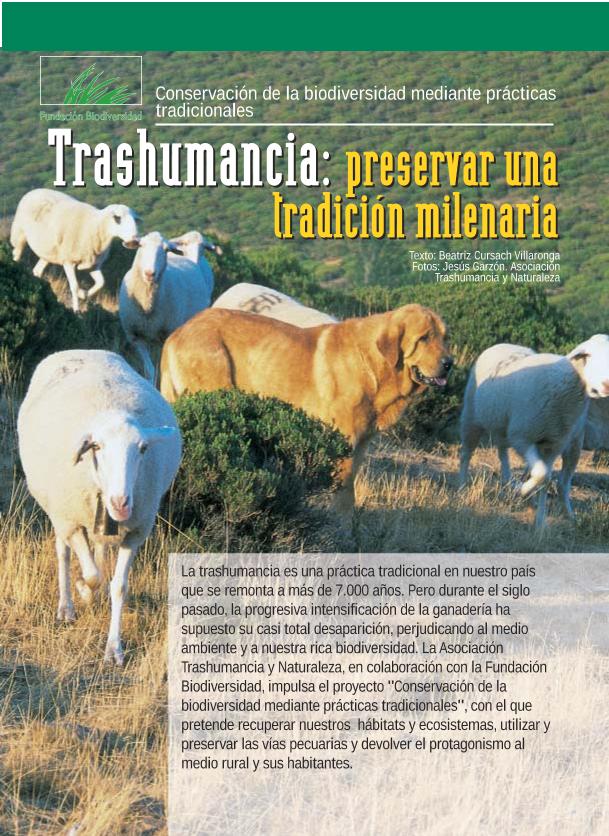 Recurso electrónico / electronic resource