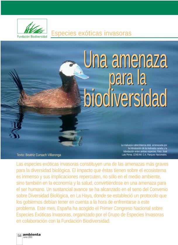 Recurso electrónico / electronic resource