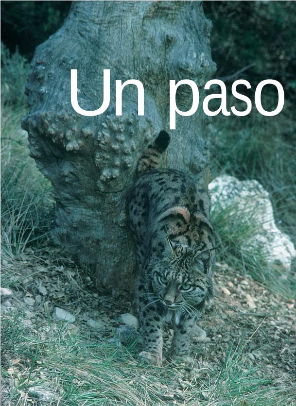 Recurso electrónico / electronic resource