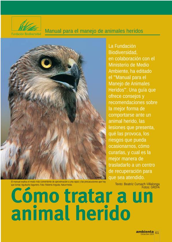 Recurso electrónico / electronic resource