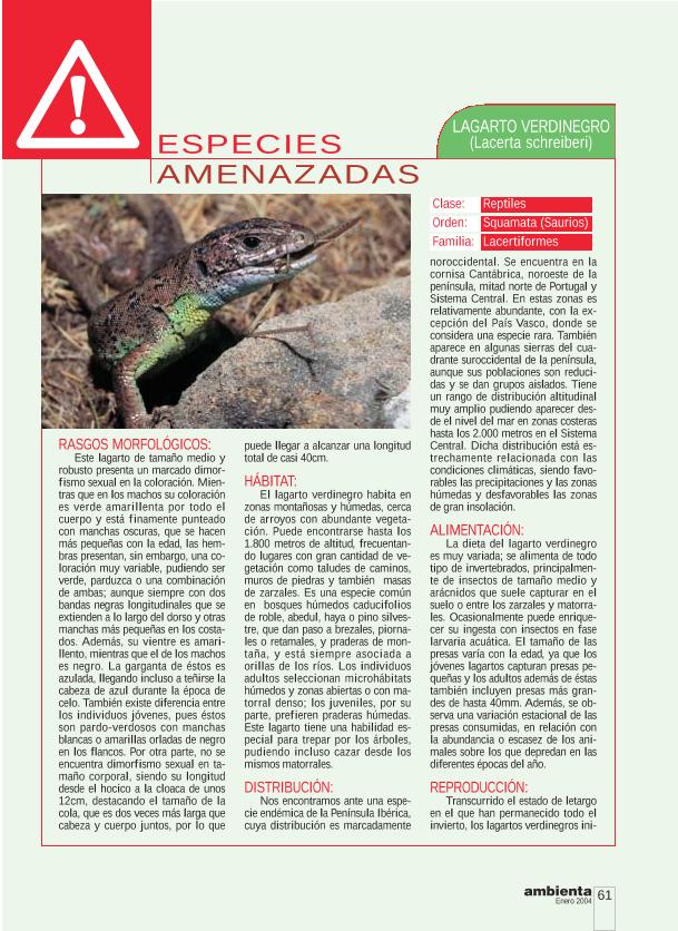 Recurso electrónico / electronic resource