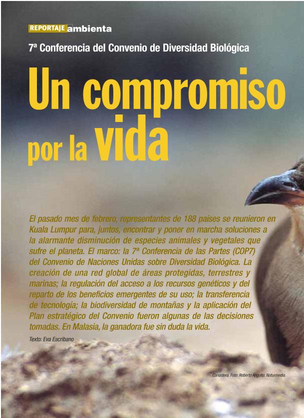 Recurso electrónico / electronic resource