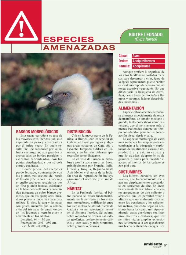 Recurso electrónico / electronic resource