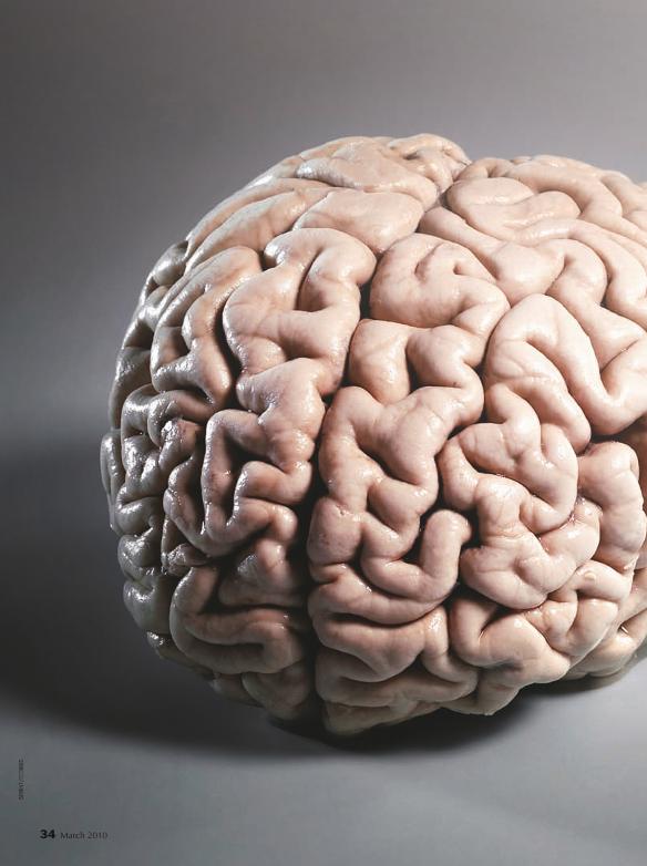 Recurso electrónico / electronic resource