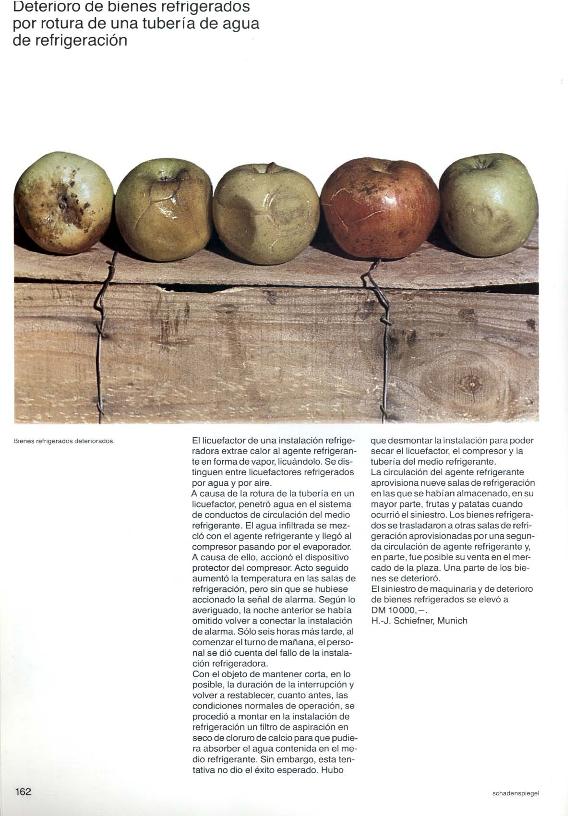 Recurso electrónico / electronic resource