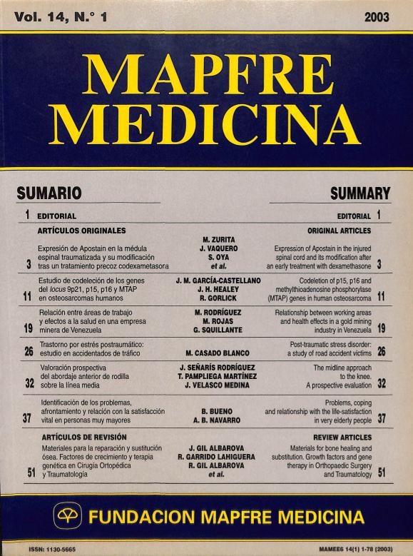 Acceso al documento/Access the document