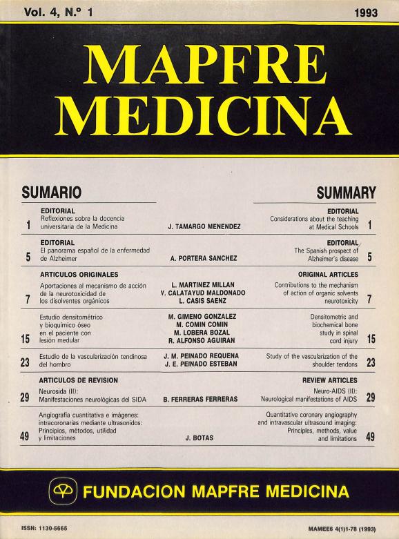 Acceso al documento / Access the document