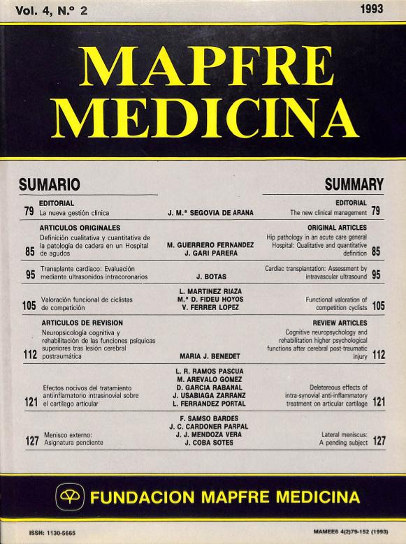 Acceso al documento / Access the document