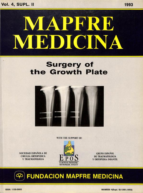 Acceso al documento / Access the document