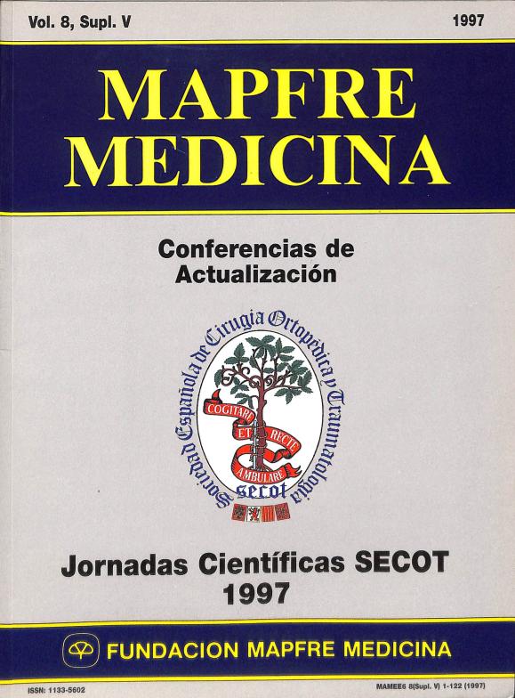 Acceso al documento / Access the document