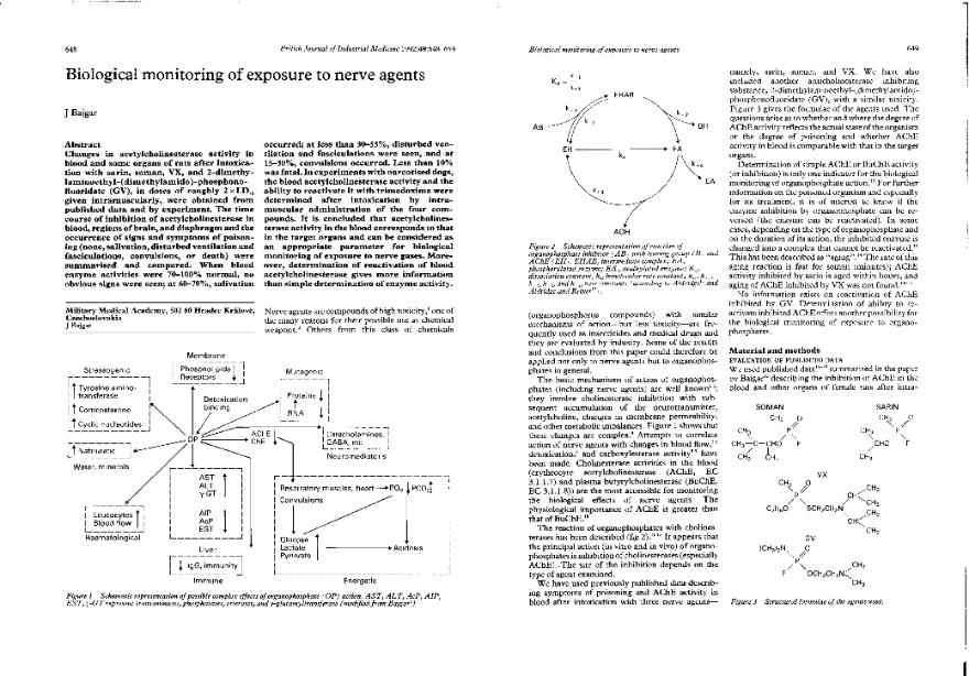 Fichero PDF / PDF file