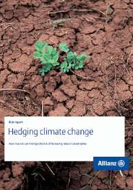 Recurso electrónico / electronic resource