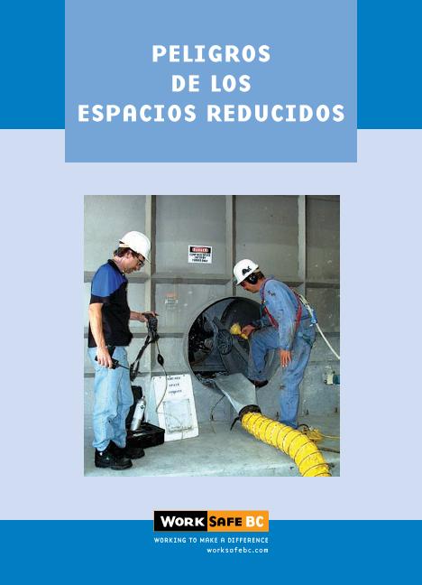 Recurso electrónico / electronic resource