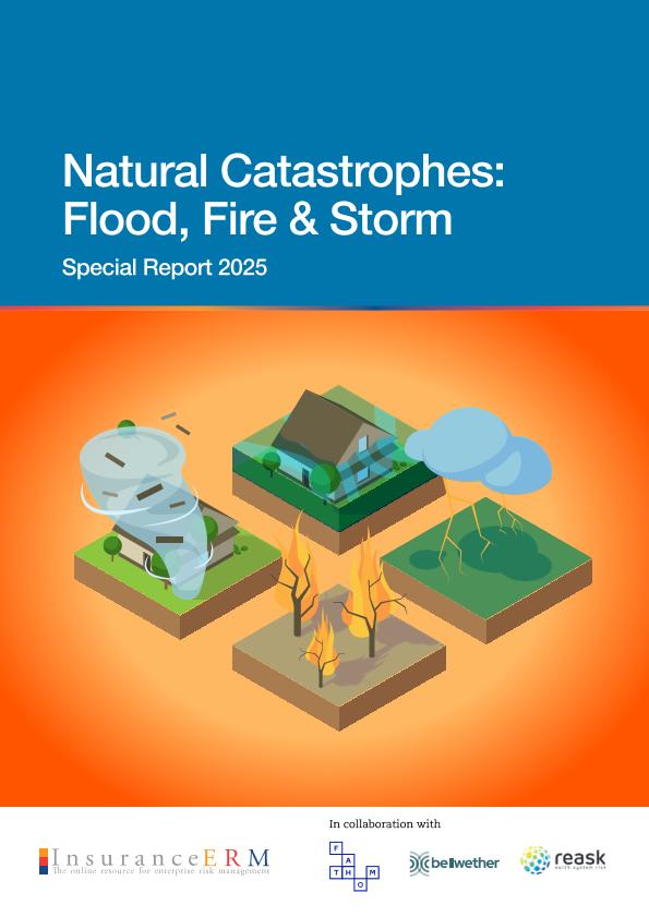 Acceso al documento/Access the document