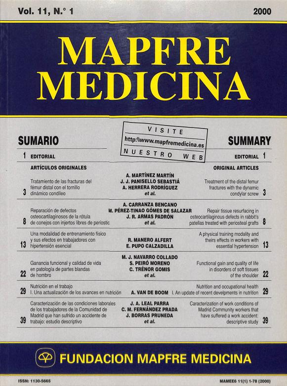 Acceso al documento/Access the document