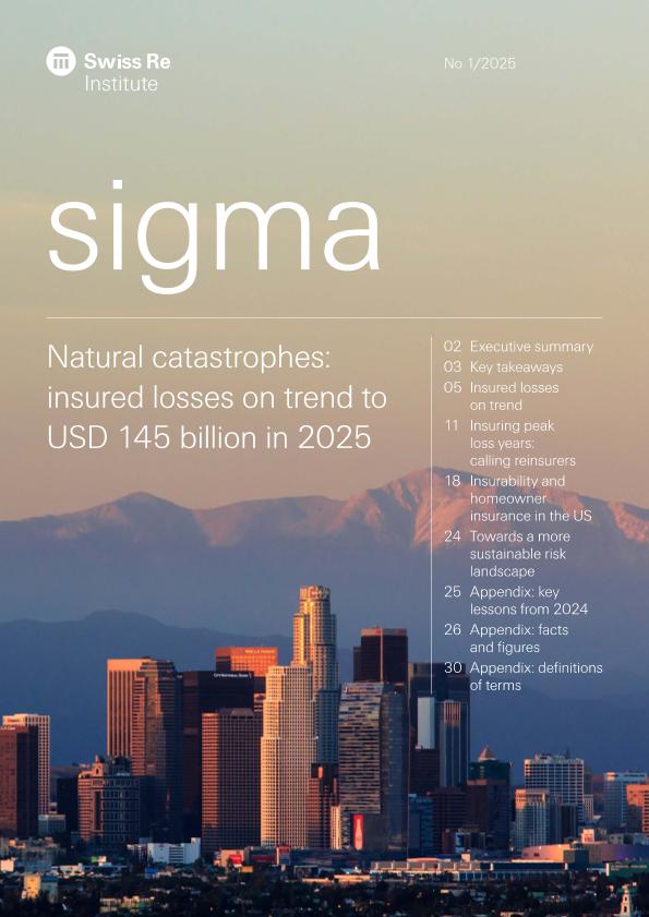 Acceso al documento / Access the document