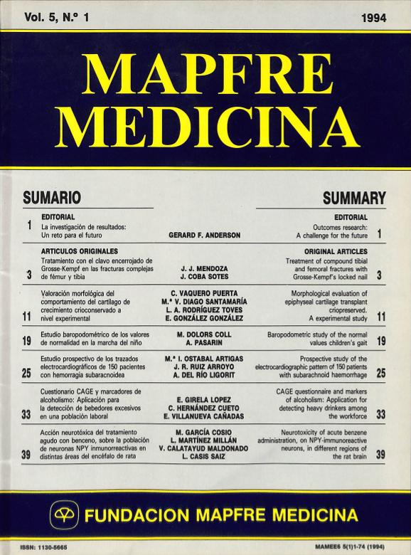 Acceso al documento / Access the document