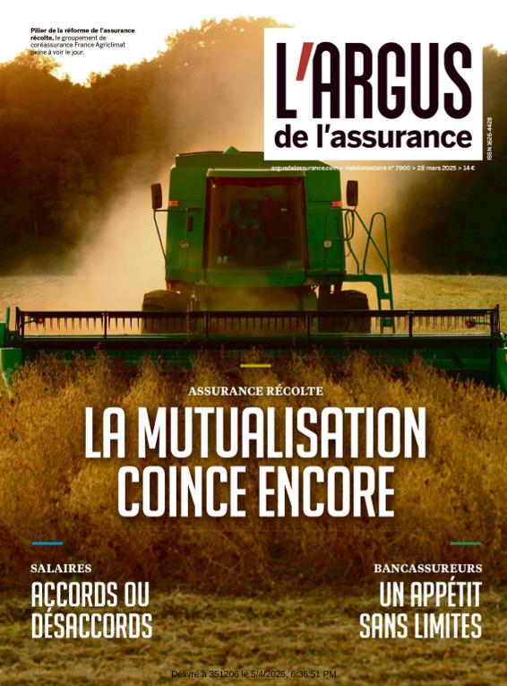 Acceso al documento/Access the document