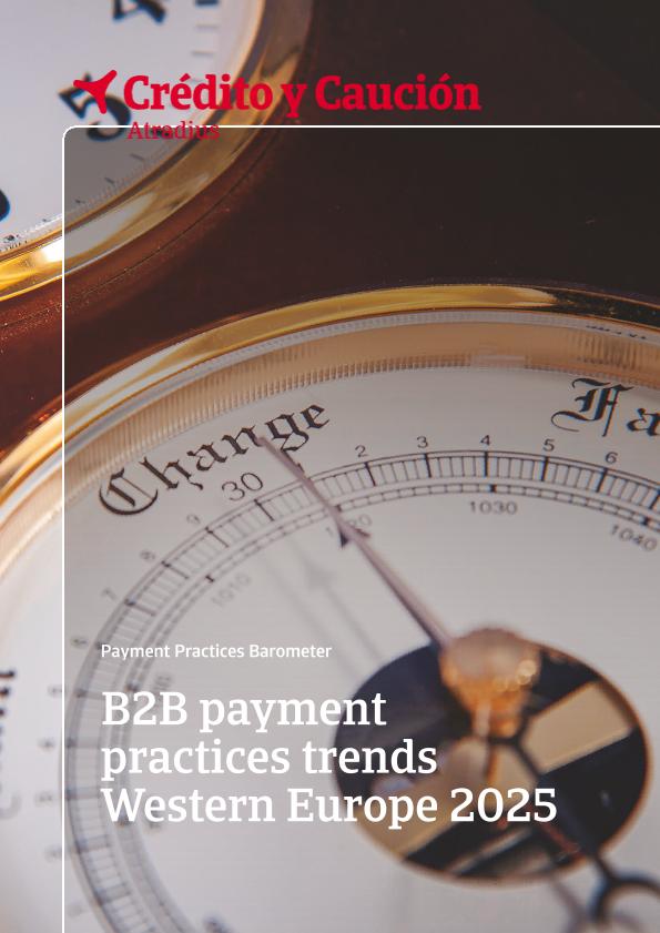 Acceso al documento/Access the document