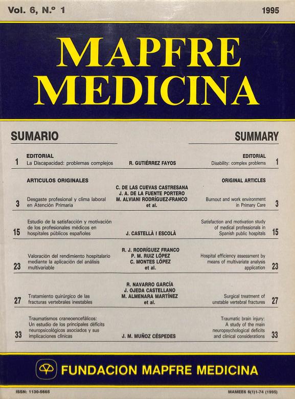 Acceso al documento/Access the document