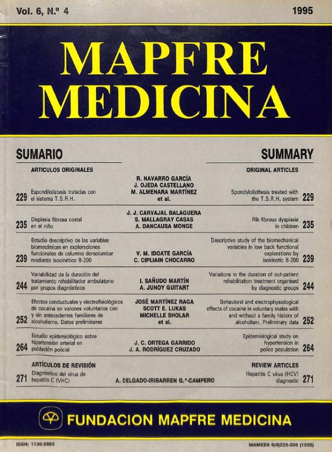 Acceso al documento/Access the document