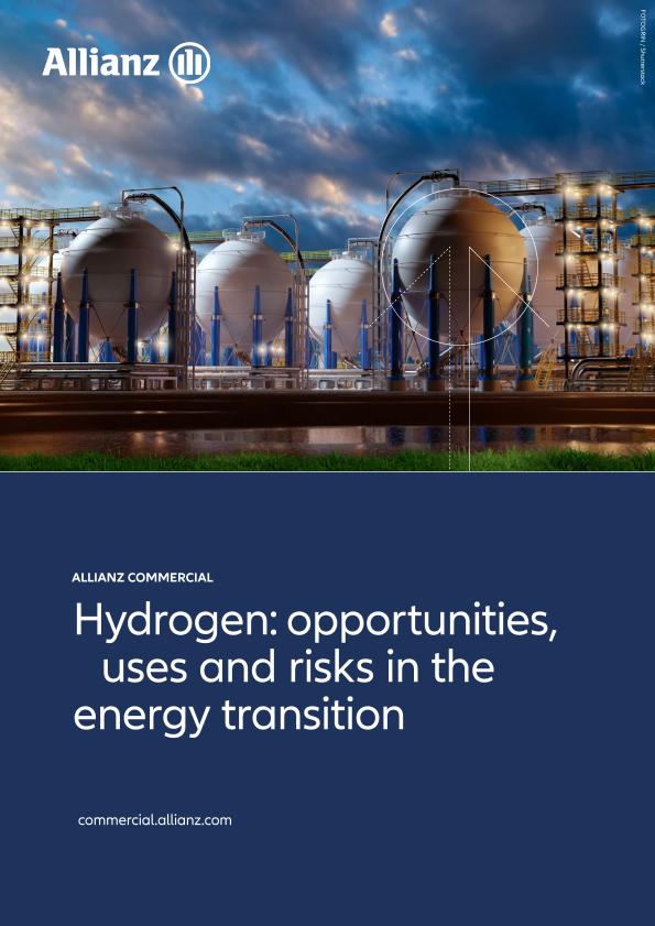 Acceso al documento / Access the document