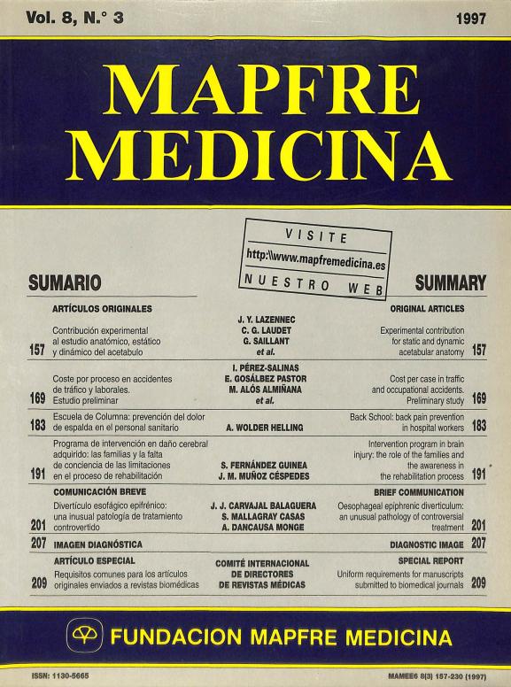 Acceso al documento / Access the document