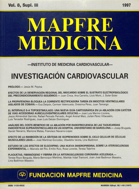 Acceso al documento / Access the document