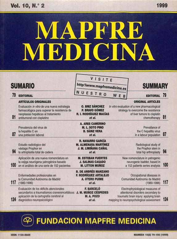 Acceso al documento / Access the document