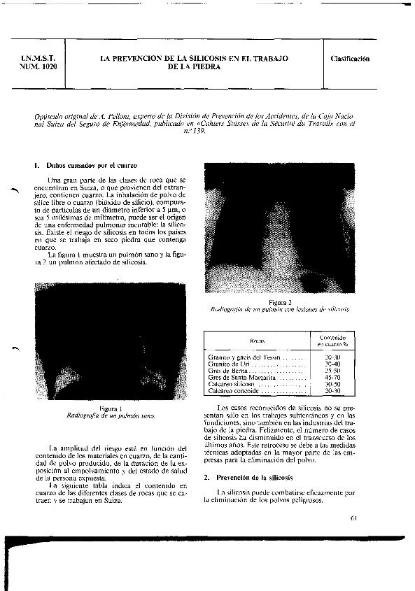 Fichero PDF / PDF file