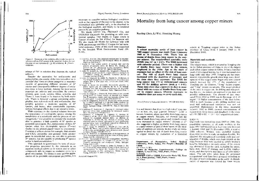 Fichero PDF / PDF file