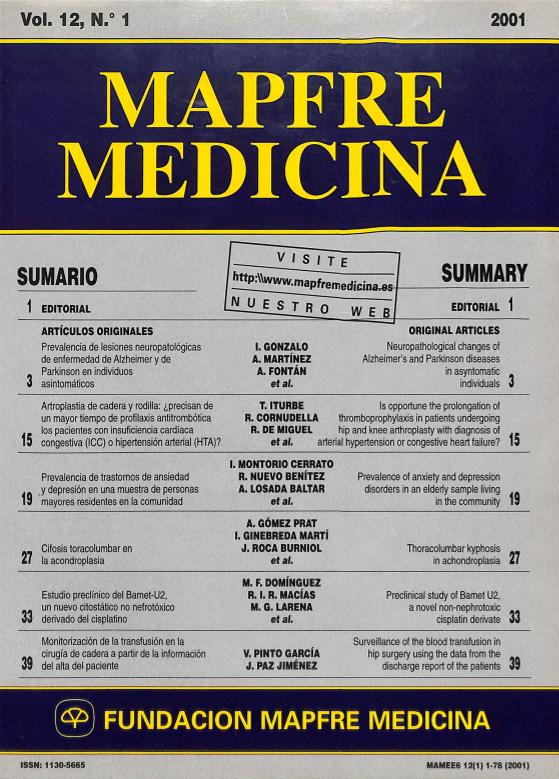 Acceso al documento/Access the document