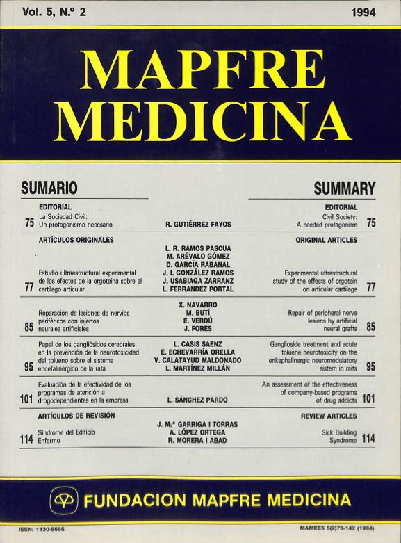 Acceso al documento / Access the document