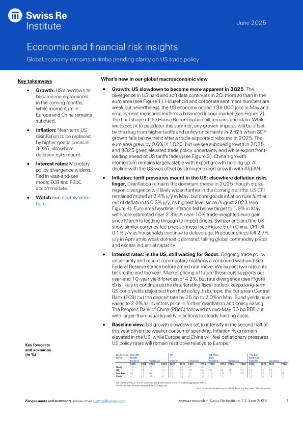Acceso al documento/Access the document