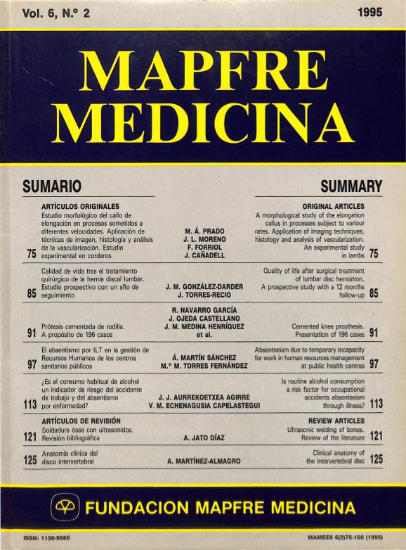 Acceso al documento/Access the document