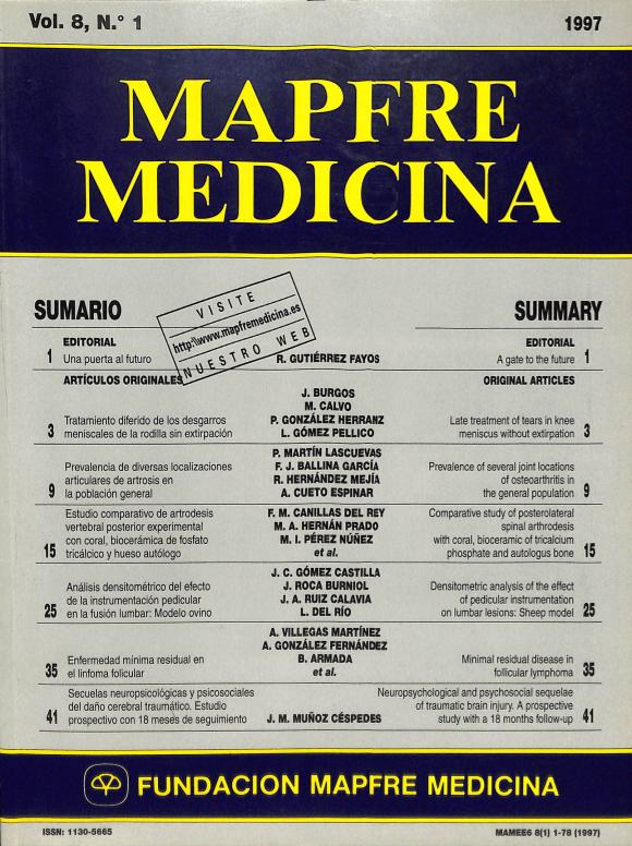 Acceso al documento / Access the document