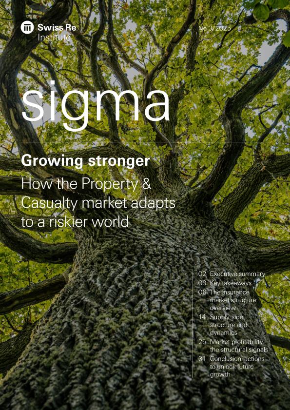 Acceso al documento / Access the document