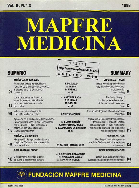 Acceso al documento / Access the document