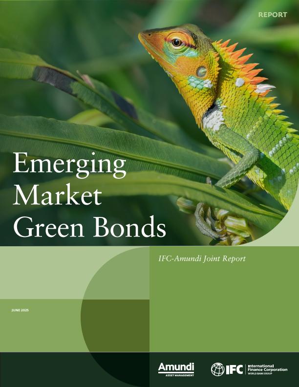 Acceso al documento/Access the document