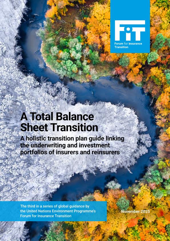 Acceso al documento/Access the document